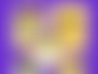 Chegou a Yppy-ê 12!