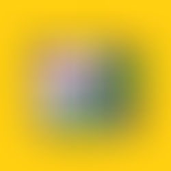 Je persoonlijke loopbaankompas: dé tool voor goeie loopbaankeuzes