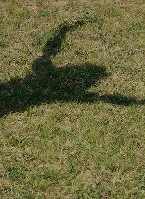 VERTICALI_01_14_51_23_edited_edited.jpg