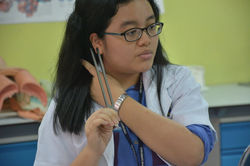 Hearing Test