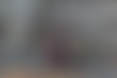 Zealot with Eviscerator. 