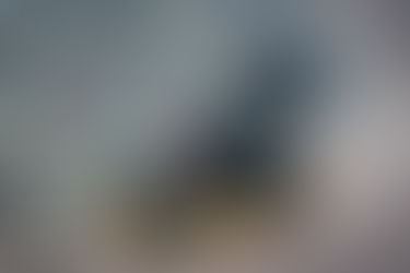 Orlock Outrider Quad 