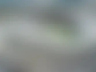 Paysandu recebe o Vasco no Mangueirão em duelo decisivo pela Copa do Brasil