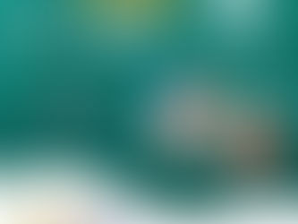 Segunda edição da Live "Pastoral em Foco" dia 03/07