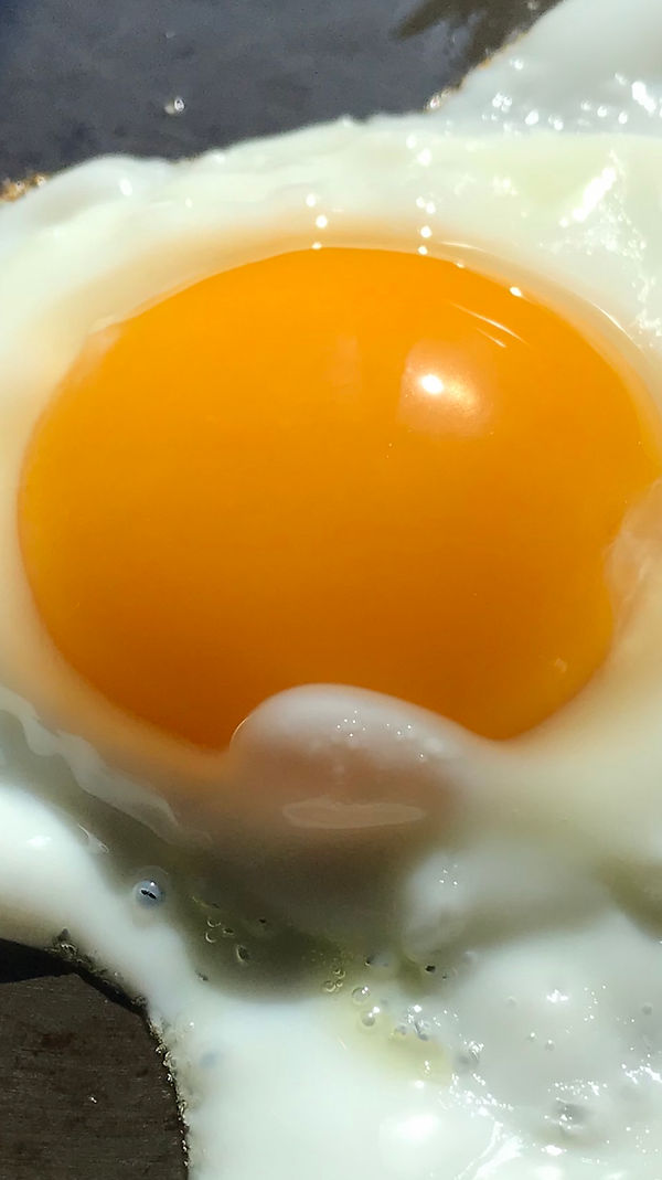 fullsizeoutput_3cb.jpeg