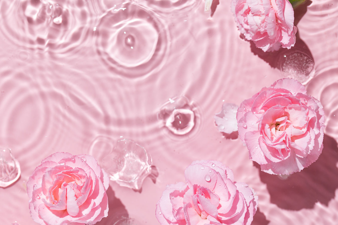 AdobeStock_449002079.jpeg