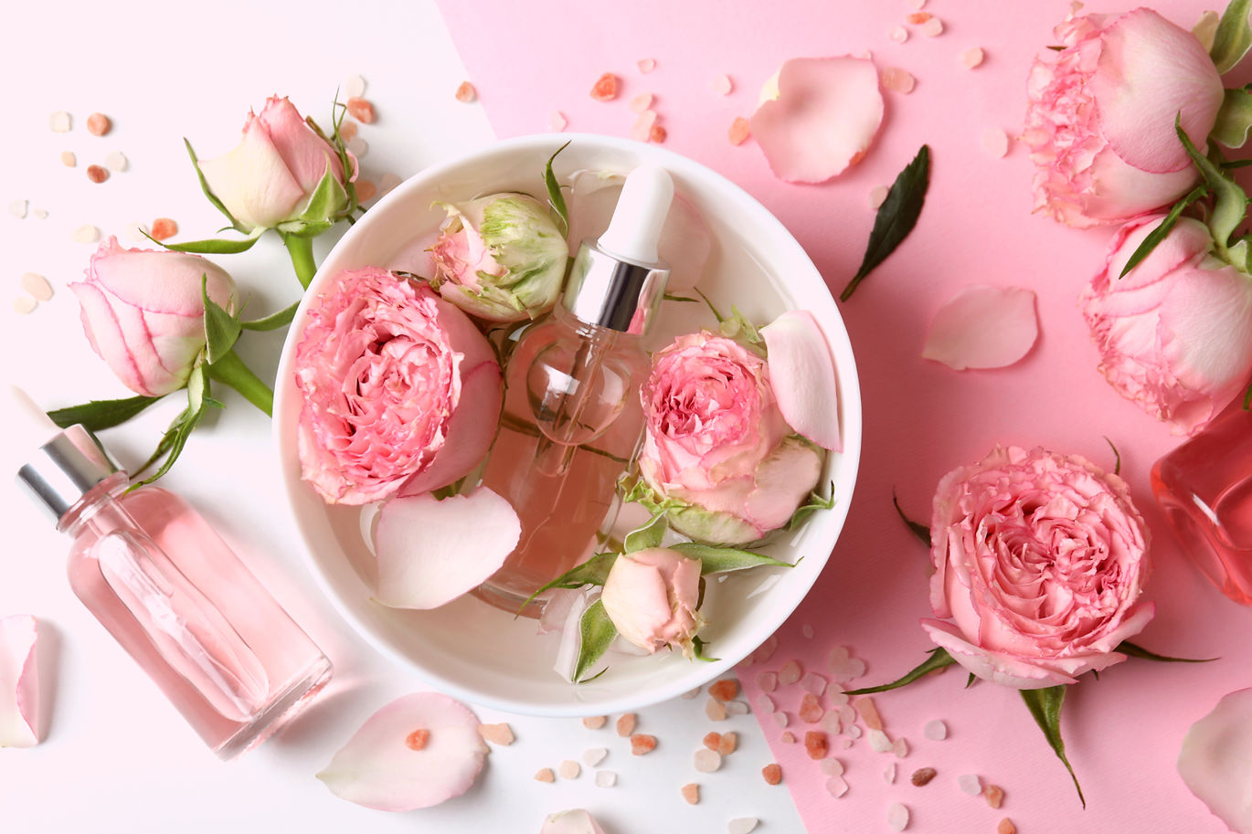 AdobeStock_433401912_edited.jpg