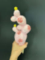 Miniatura: Cactus-Olla babypink with flowers with birds