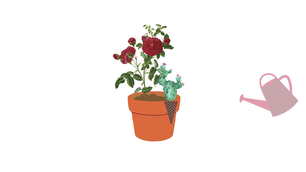 Miniatura: Ban-Olla violet with white flowers