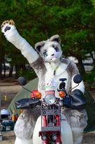 DSC_6569.jpg
