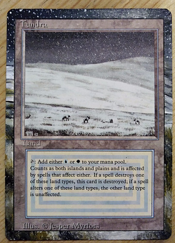 MTG Tundra Wolves アーティストプルーフ　アート　油絵　海 Tundra - Full Art / Extended Art - MTG, Magic the Gathering