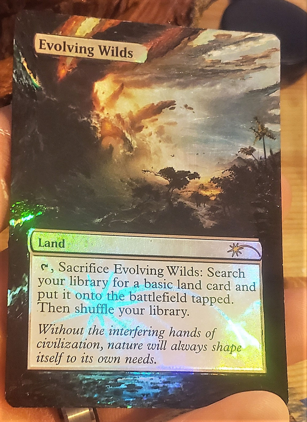 mtg cards like evolving wilds [Magic 2013] nest warden Evolving Wilds *promo* - Full