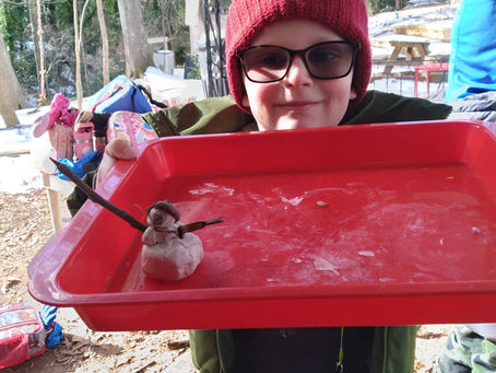 Greetings from the Forest