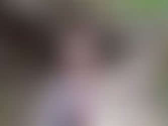 Greetings from the Forest