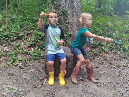 Greetings from the Forest