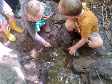 Lessons of the Heart