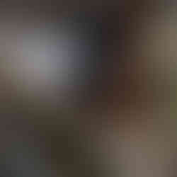 Destillations-Workshop