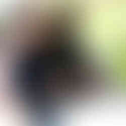 Destillations-Workshop