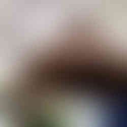 Destillations Workshop 5