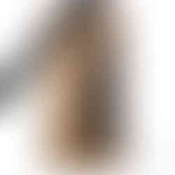 NUSSINGA 5 Jahre gereift_1