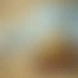 NUSSINGA im Standard Rondo-3