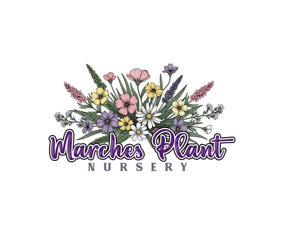 Marches Plant Nursery.jpg