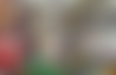 8 Barang Wajib Untuk Kebutuhan Hewan Peliharaan 