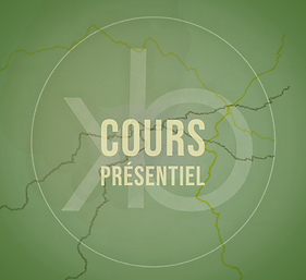 Qi Gong presentiel.png