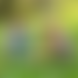 Pâques au Domaine de Marlioz : un moment gourmand et convivial en famille ! 