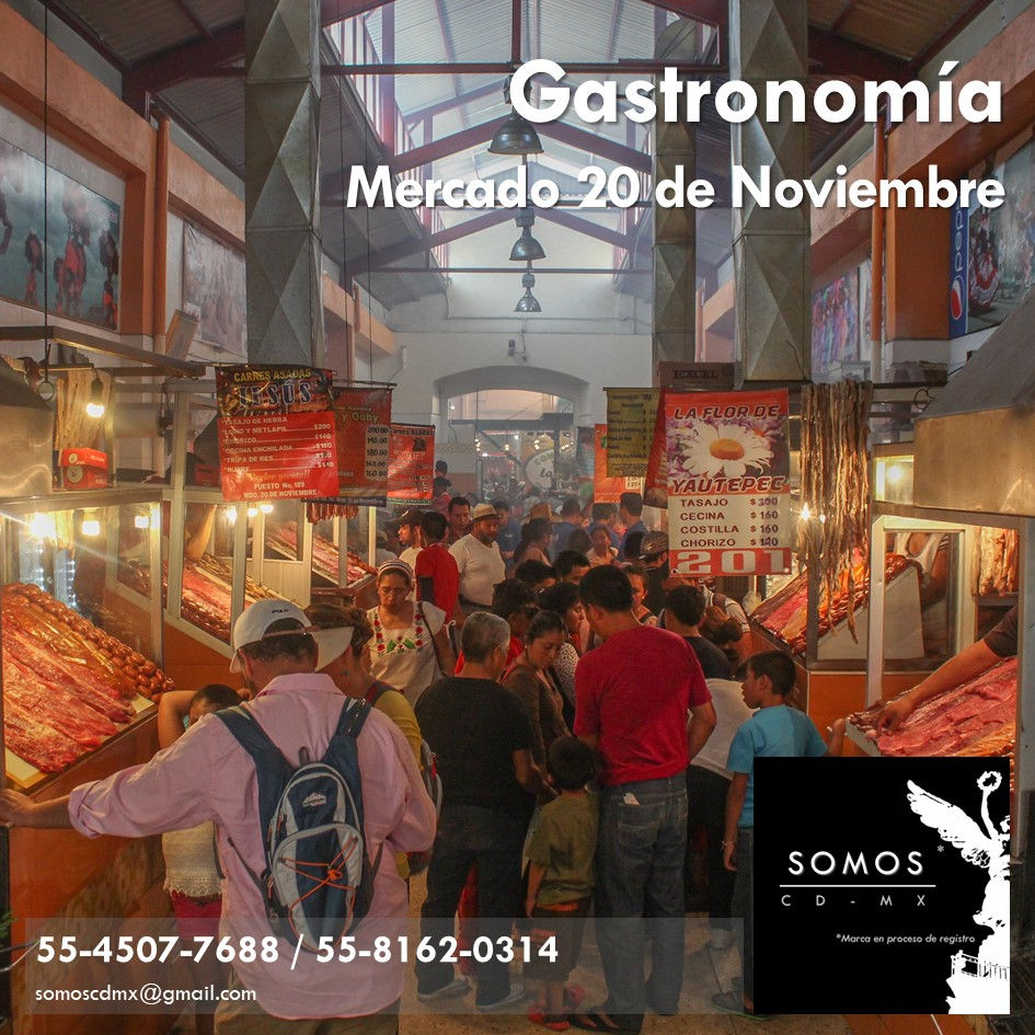 Diapositiva8