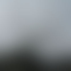 Friday Photo of the Week