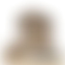 filling out a sworn financial statement