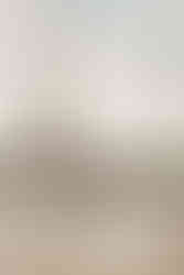 Wedding kiss in Paris