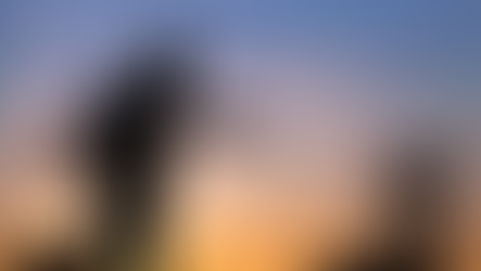 I want to be rich! So I am willing to take risks...