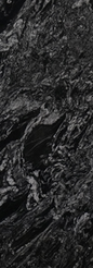 BLACK FOREST.PNG