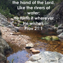 The hearts of the kings