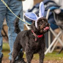 1:00pm - 1:45pm Time Slot