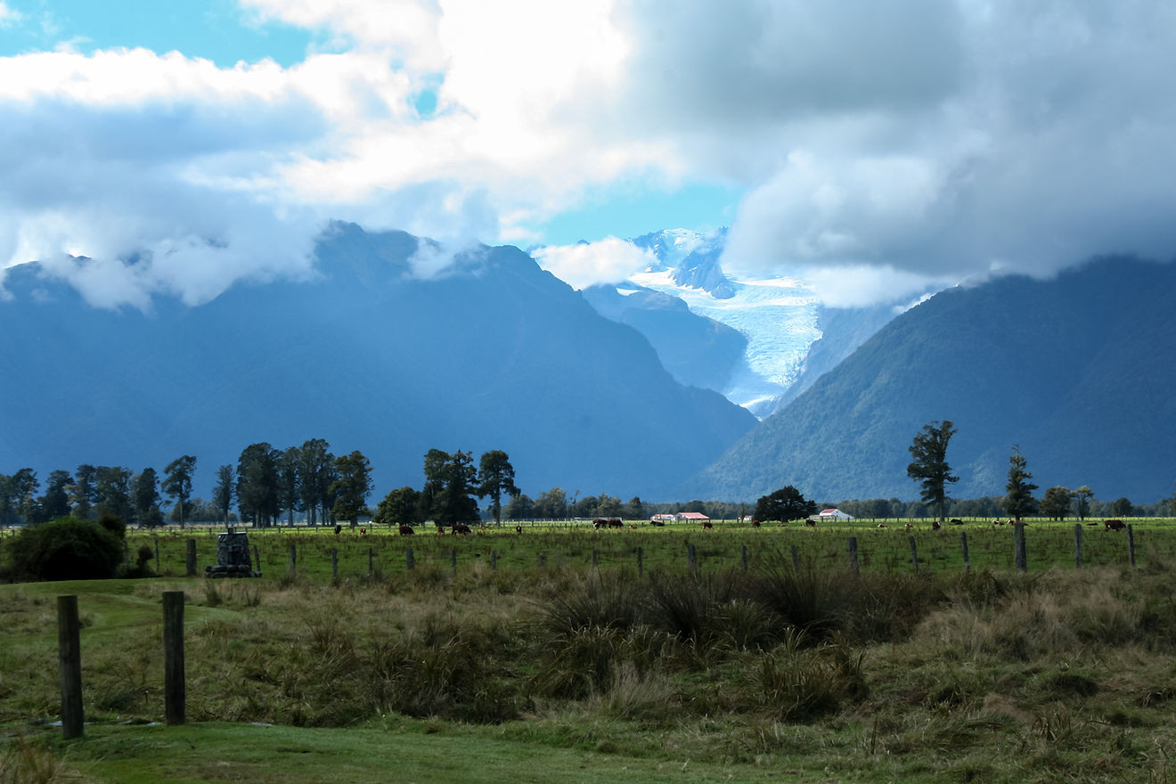 Fox glacier