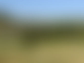 The Spanish Heartland. Castilla Y Leon and the high plateau