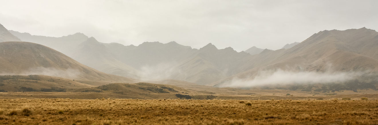 Mist new zealand