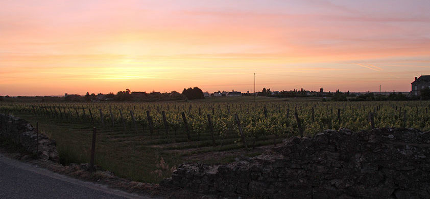 Cycling the Loire. Paris to Nantes. How many Pain au chocolat can you eat in one morning?