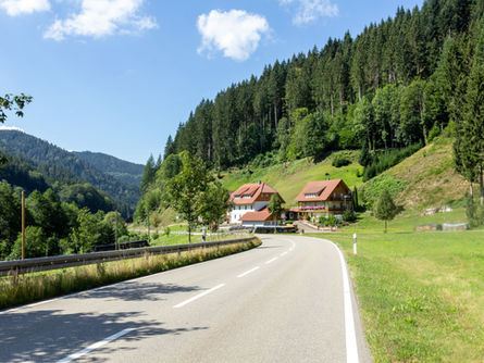 Maastricht to Munich -Schwarzwald and crossing the Alps