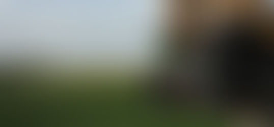 Romania. I don't want to die today