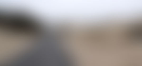 Across the North Sea and through the dunes to Amsterdam