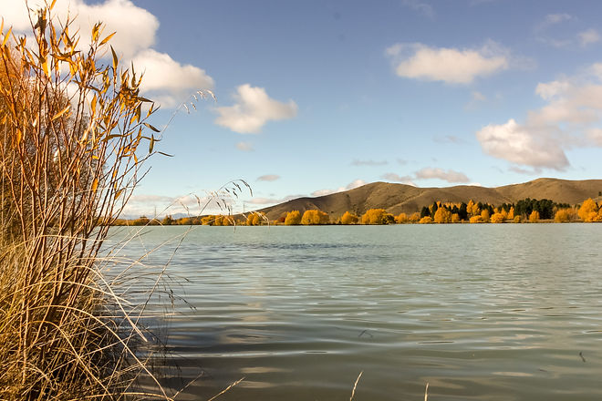 Otago new zealand