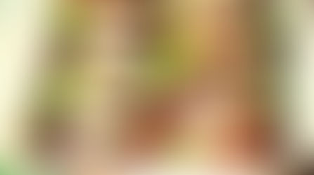 Tian de légumes : aubergines, tomates et chèvre.