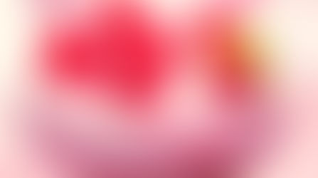 Fromage blanc glacé aux framboises.