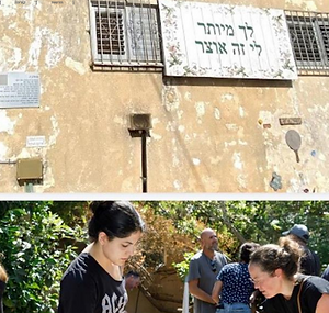 לאן תורמים את כל השקיות.png