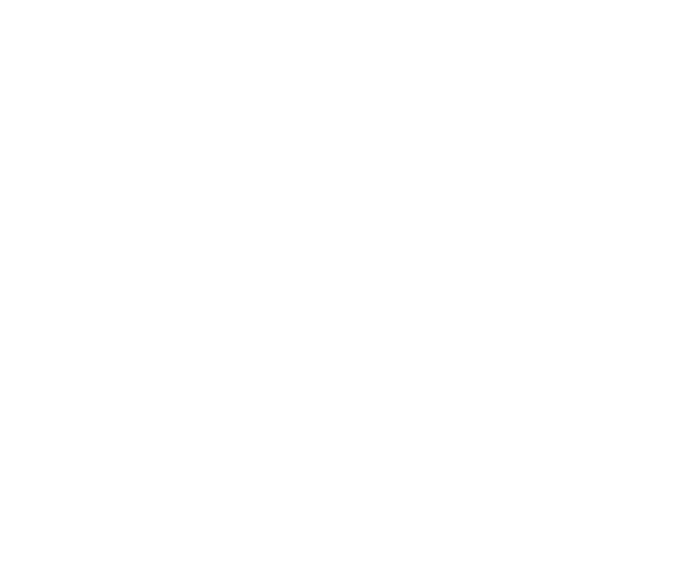 BEHRINGER