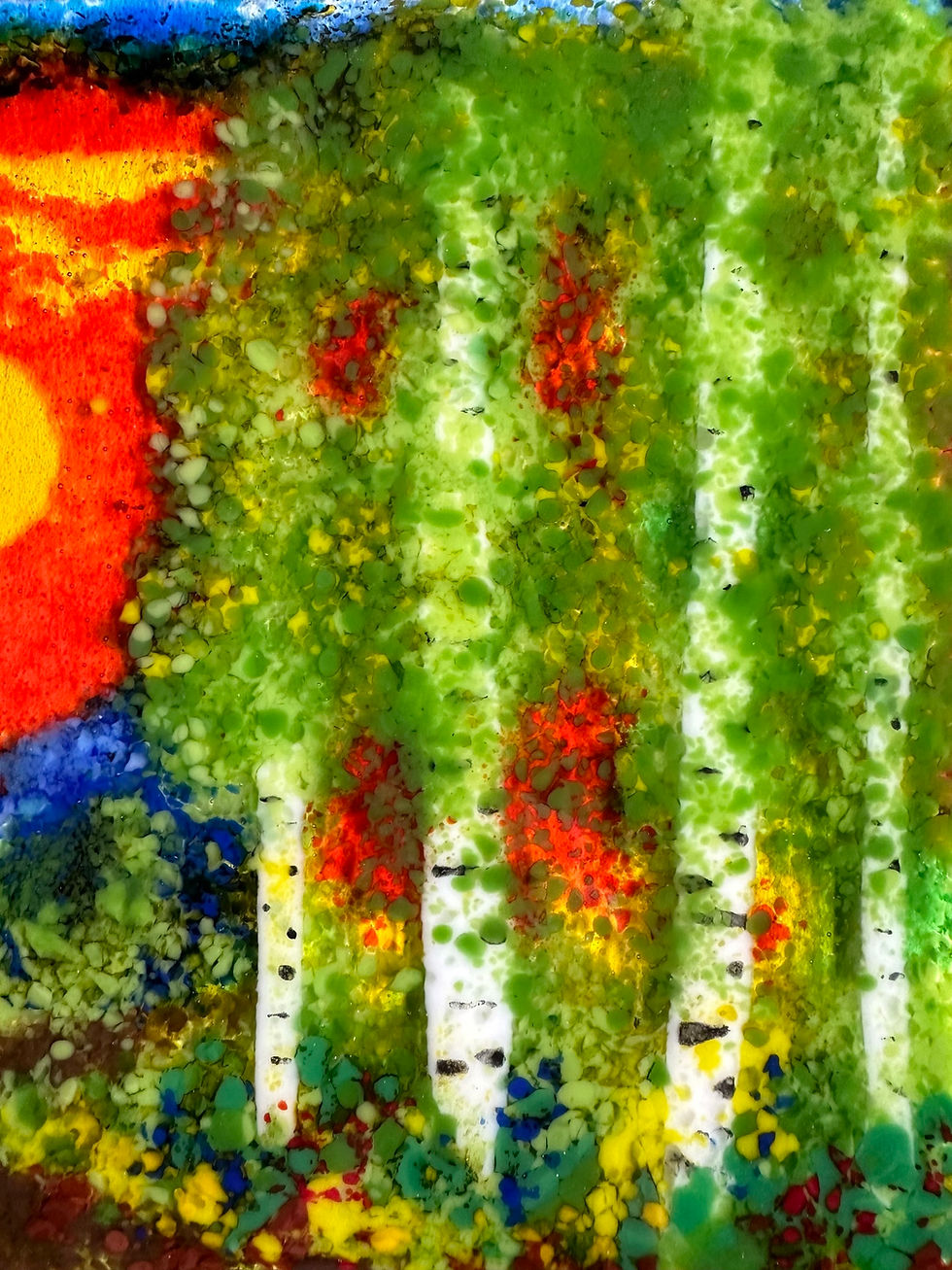 Thumbnail: Sunset through the Aspen